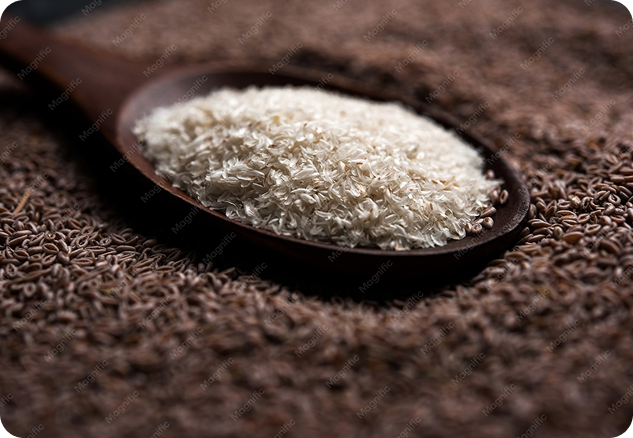 Psyllium Husk (Isabgul)